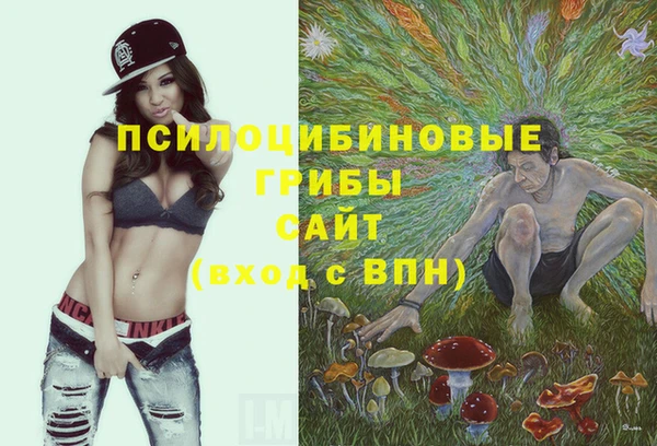 МДМА Осташков
