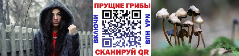 Псилоцибиновые грибы GOLDEN TEACHER  наркота  Болхов 